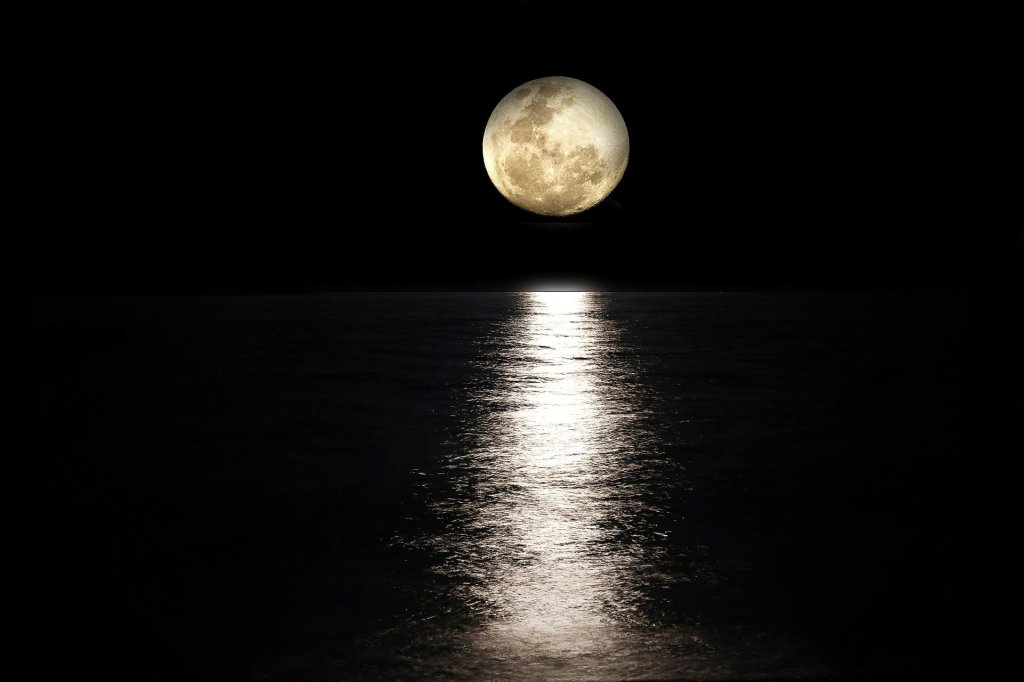 Man on the&nbsp;Moon